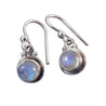 Rainbow Moonstone Drop Earrings