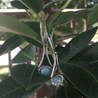 Larimar Earrings - By E Artisan Jewelry